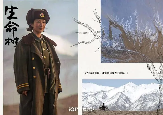 杨紫凭《生命树》夺白玉兰视后，主动要求丑化自己有多狠？