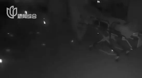 男子来沪当保安,上岗第一天就晕倒?醒来大闹商场“我有精神病”……仅在浦东就报警了8次