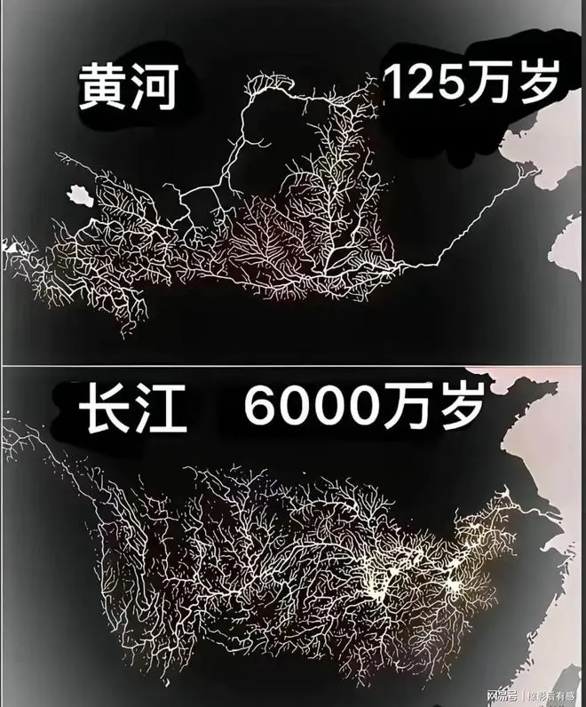 长江:让我“禁渔”十年?行,我还你一个从棺材里爬出来的鱼