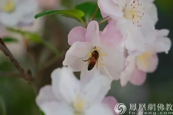 一日禅:翻篇