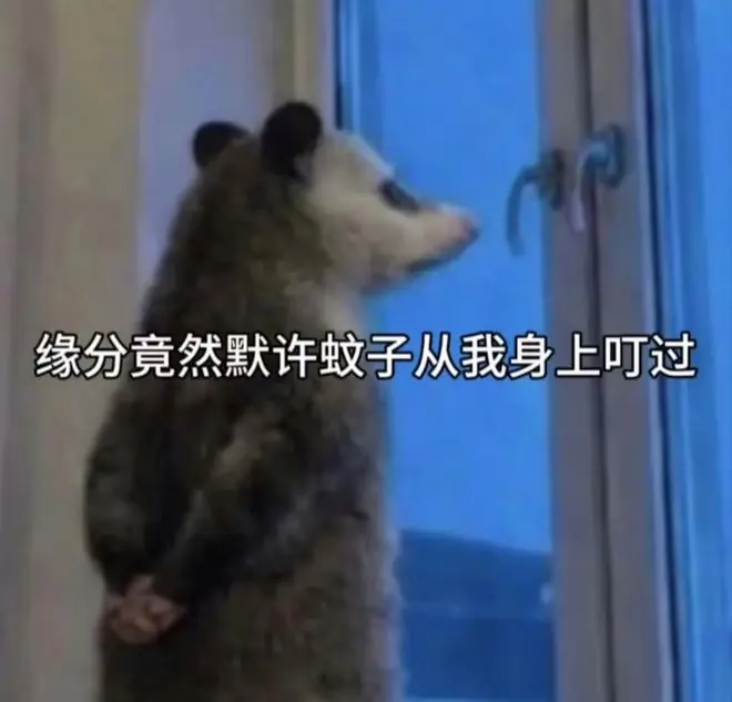 你想象中吃蚊子的青蛙，可能正在被蚊子吃……