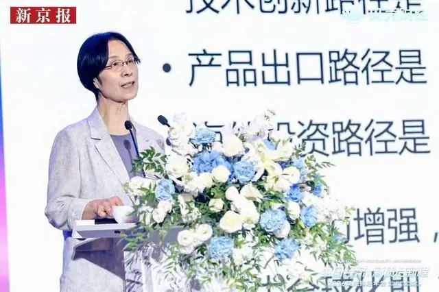 江小涓:中国正进入一个“生而为全球”的创新生产过程