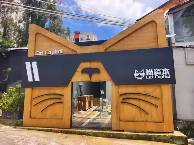 店铺人去楼空,法定代表人失联!昆明市民花2万元买猫投资未获分文收益,小猫也不知所终;多方回应:属民事合同纠纷,建议司法诉讼解决