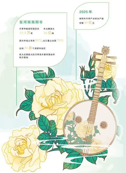 南阳月季,何以一路繁花?(财经深一度·宝藏小城的出口生意经)