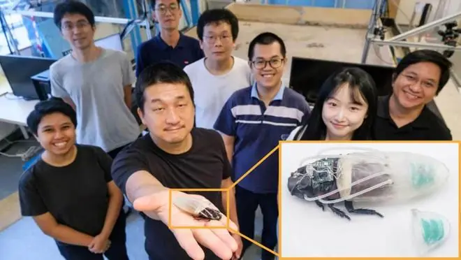 洪水凶猛,突破陆地限制!蟑螂穿上3D打印“潜水服”,有望助力灾后搜救