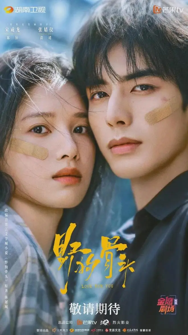 宋威龙新剧《野狗骨头》全网有效播放量破1.5亿!