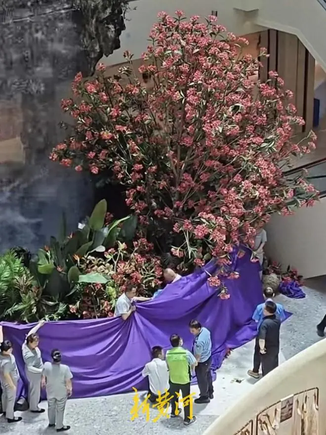 西安赛格跳楼事件刷屏：网传跳楼原因，我看到了商户最戳心的困境
