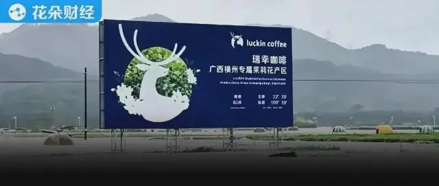 “你的茉莉奶绿泡在水里了”,横州190亿茉莉产业告急!