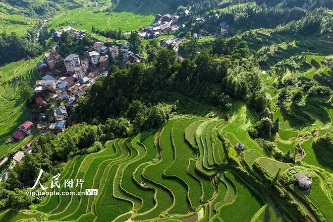 广西融水:生态苗寨入画来