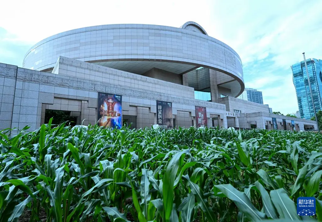 “世界树之巅：美洲古代文明大展”在上海博物馆开幕