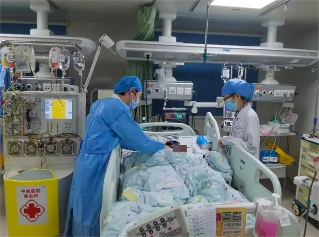 被AI识别为“无毒”后，一家三口吃下剧毒蘑菇，9岁男孩生死抢救8天