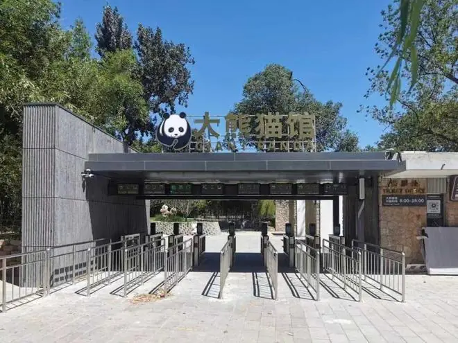北京动物园大熊猫新馆长啥样儿？北青报记者揭秘