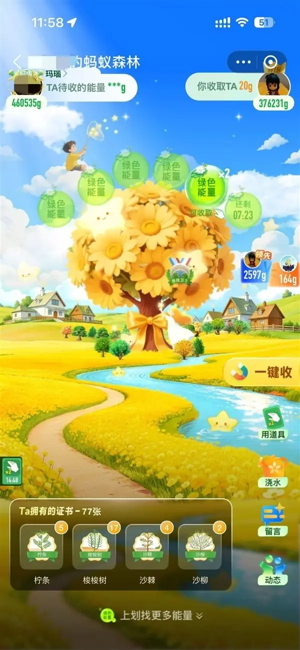 支付宝蚂蚁森林2026年焕新升级:沉浸式好友森林界面上线