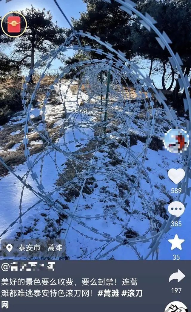 大风追踪|泰山景区回应建135公里刀片隔离网：设在非开放区，目的是确保防火、生态、和“驴友”的安全