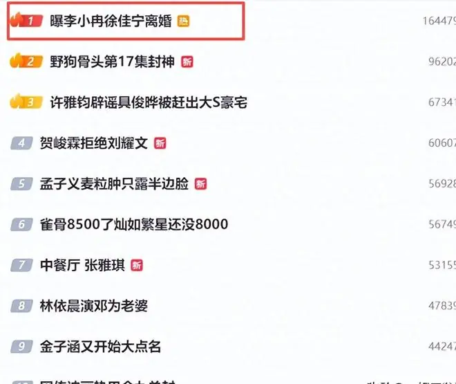 曝李小冉离婚后续,和丈夫曾陷出轨插足风波,不久前男方公开追妻