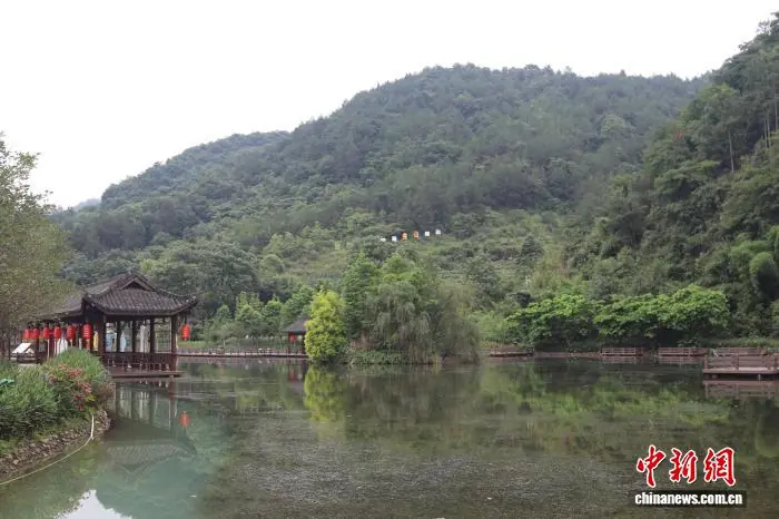 (乡村行·看振兴)凉风村翻身记:地上比地下更有“矿”